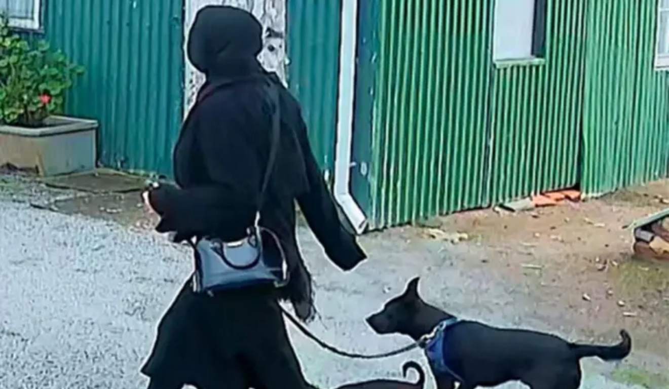 Tamika Sueann-Rose caminhando com cachorros. 