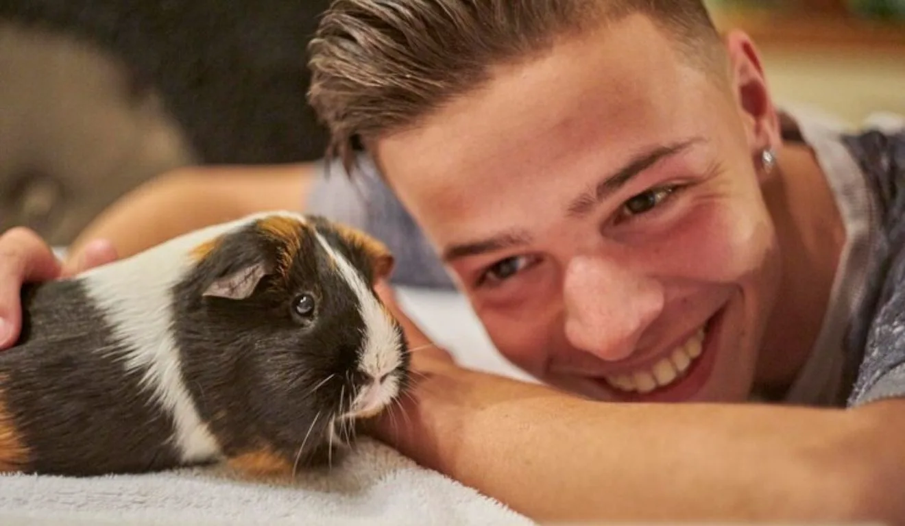 homem fazendo carinho em porquinho da índia