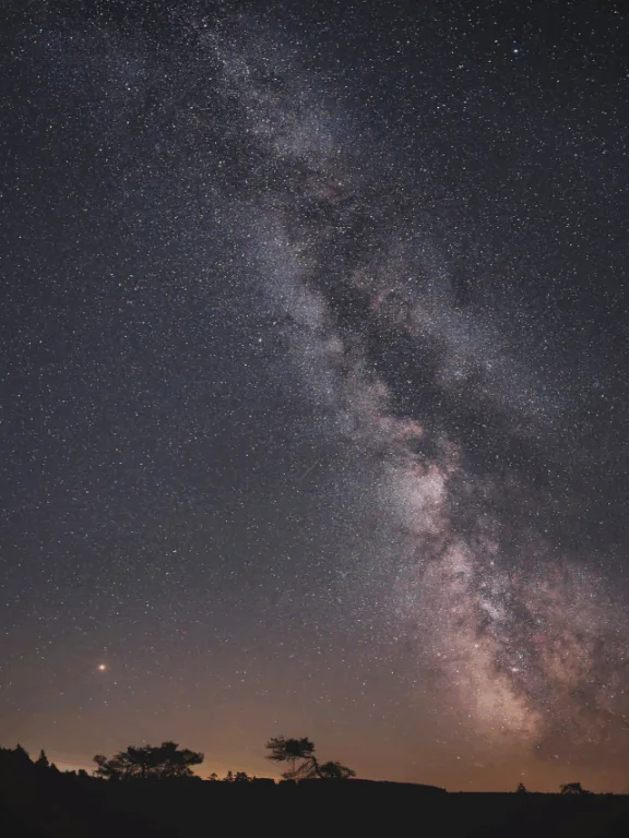 ALANA- WEB STORY CAPA (27)