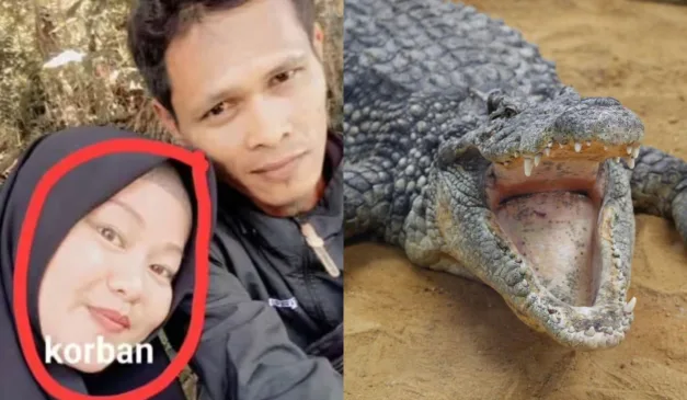 Grávida que foi morta arrastada por crocodilo