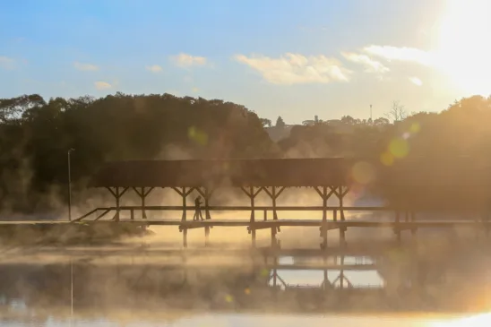 Madrugada de frio intenso no Paraná! Cidades como Palmas e Cascavel despertam sob o frio, envolvendo lares em cobertores e aquecedores. Uma lembrança poderosa de como a natureza nos envolve em sua essência.