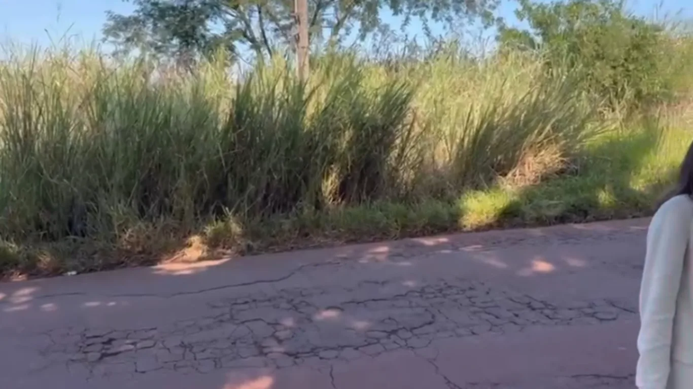 Mulher é encontrada morta em estado de decomposição perto de estrada em Londrina. PM e Polícia Civil investigam o caso.

