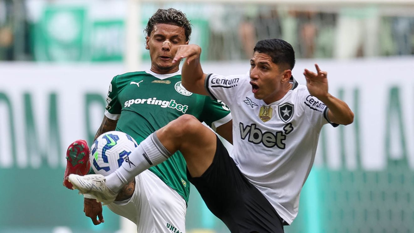 Palmeiras e Botafogo se enfrentaram a última vez no dia 30 de março, pelo Brasileirão.