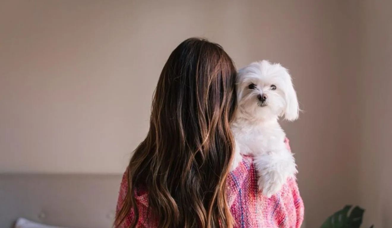 mulher com cachorro no colo