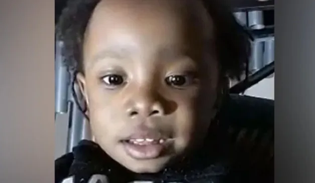 bebê que morreu de fome