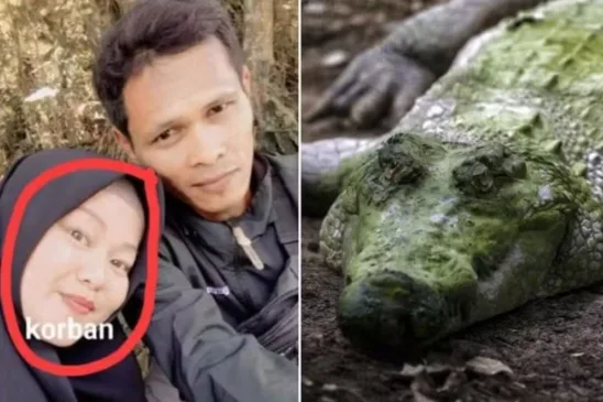 Mulher é morta por crocodilo enquanto cozinhava em casa - Foto: Reprodução