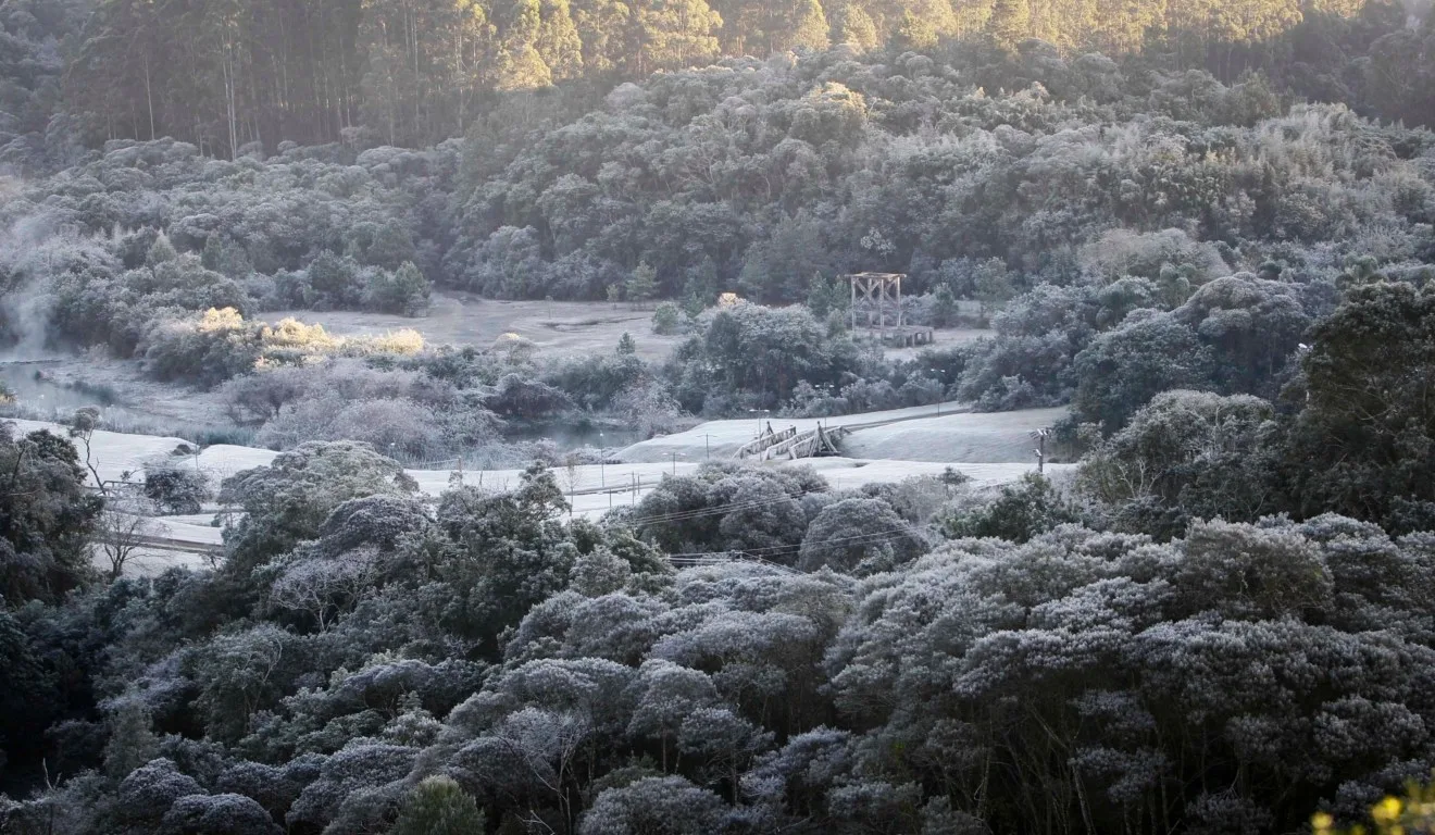 geada negra e branca no Paraná 