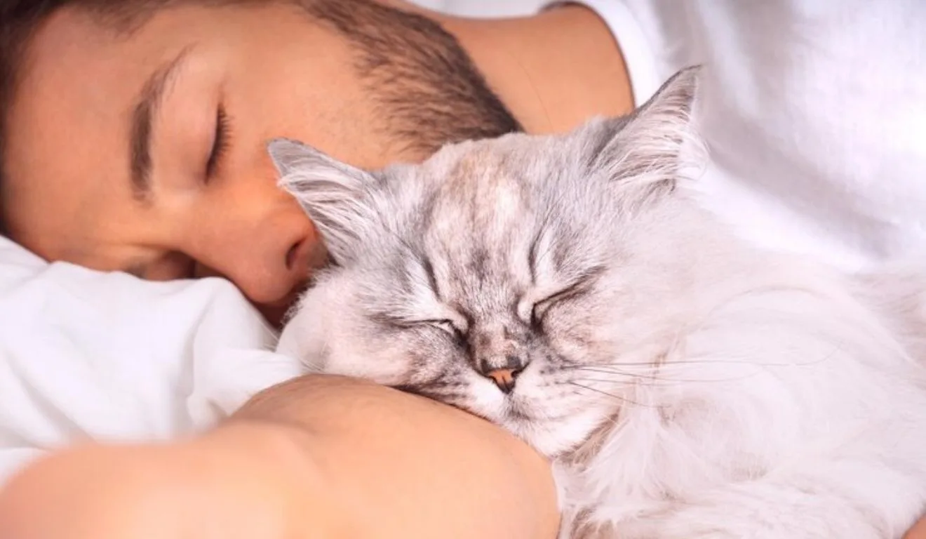 homem dormindo com gato ronronando