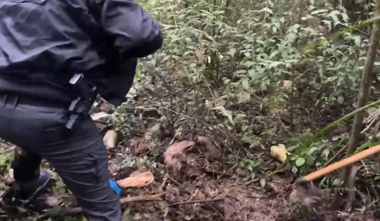 Corpo de jovem estava enterrado em mata em Araucária 