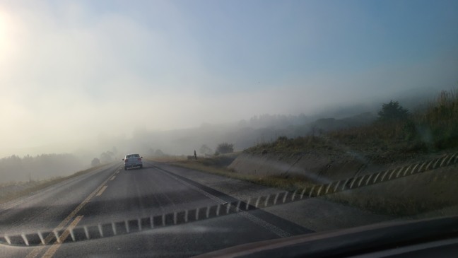 Venha percorrer o Caminho da Neve comigo