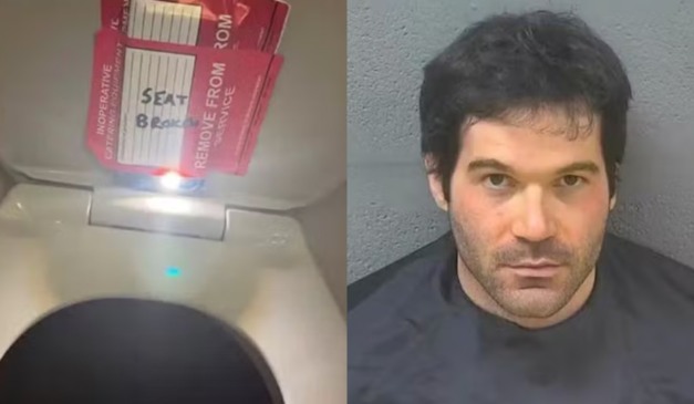 Colagem imagem do celular com adesivo e comissário.