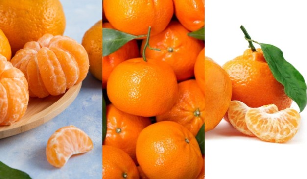 Bergamota, Ponkan e Mexerica..