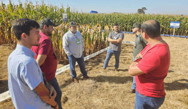 produtores rurais reunidos em uma plantação de milho