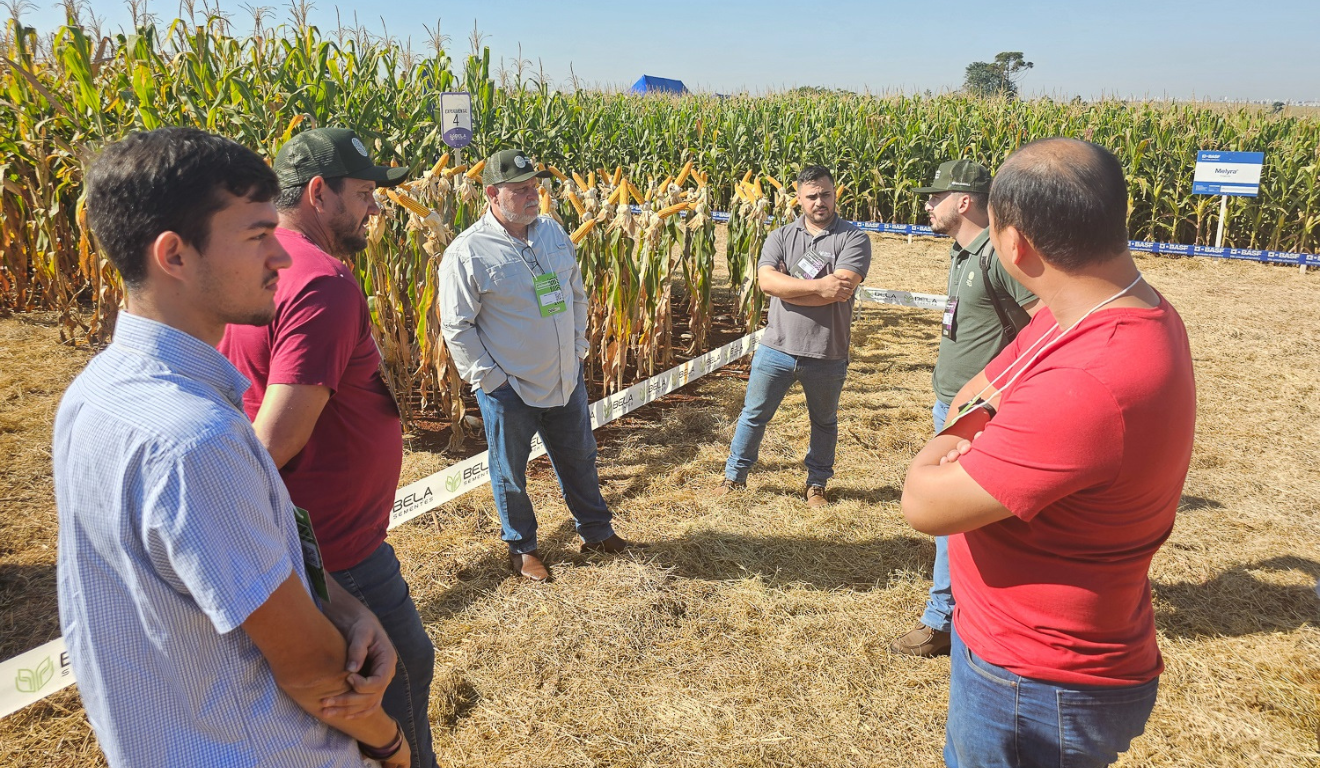 produtores rurais reunidos em uma plantação de milho
