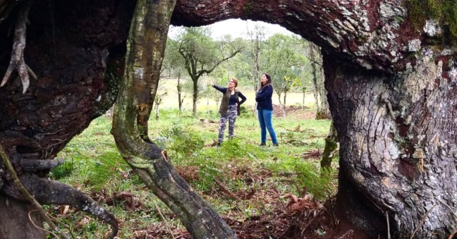 Você troca o conforto da cidade pela rusticidade do campo?