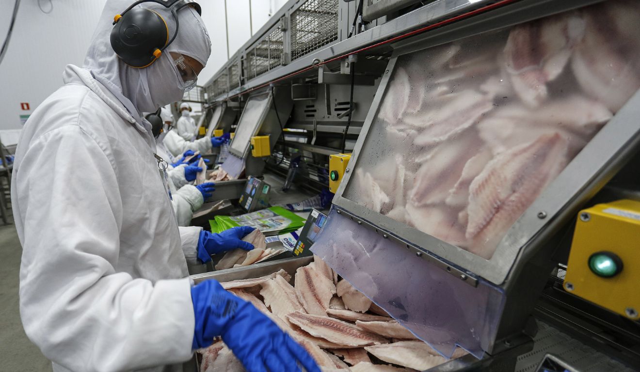 Indústrias de produção de pescados no Paraná; 80% da exportação paranaense vai aos EUA