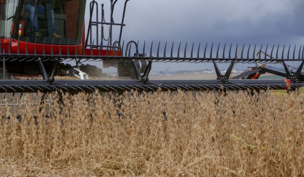 Colheitadeira em lavoura no Paraná; estado terá bons números na safra de grãos