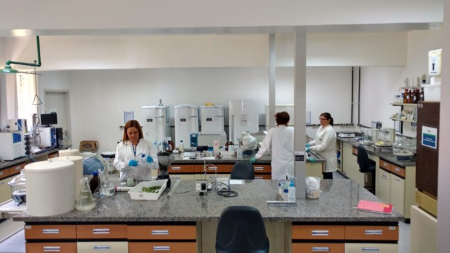 Quem é você além do seu crachá profissional?