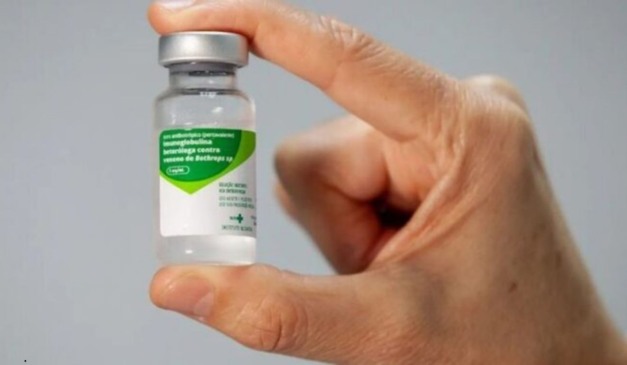 antidoto de veneno de cobra que foi aplicado nos bebês