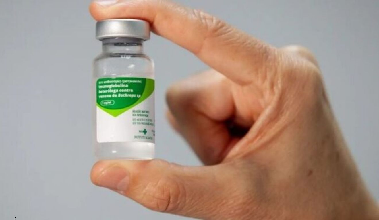 antidoto de veneno de cobra que foi aplicado nos bebês