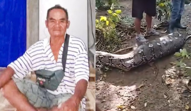 Agricultor encontrado dentro de cobra