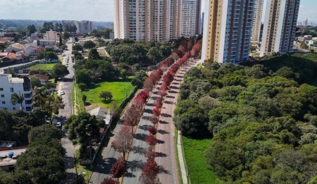 foto de Curitiba para ilustrar alerta amarelo no Paraná