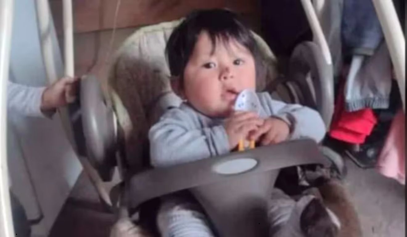 bebê encontrado morto com mordidas de cachorro