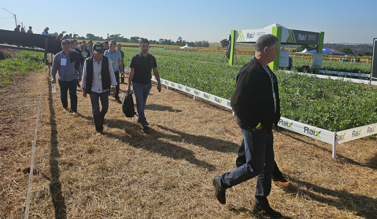produtores rurais caminhando por uma plantação