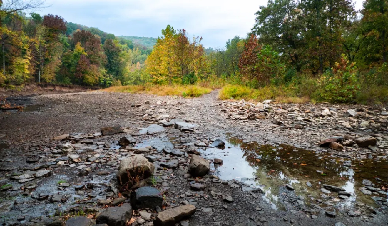 Trilha em área de mata no Parque Estadual Devil’s Den, onde ocorreu o crime do casal assassinado durante caminhada.

