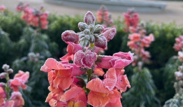Chuva volta ao Paraná e há risco de geadas