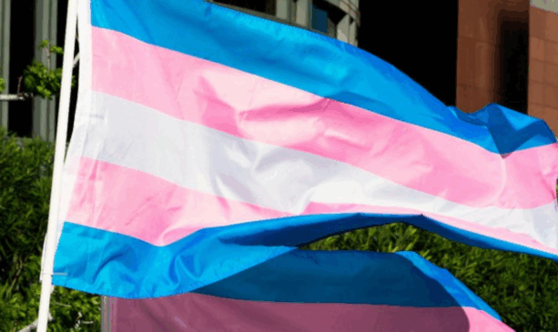 bandeira da cor azul e rosa