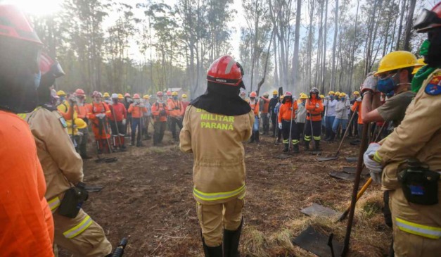 Corpo de Bombeiros em opeção na mata