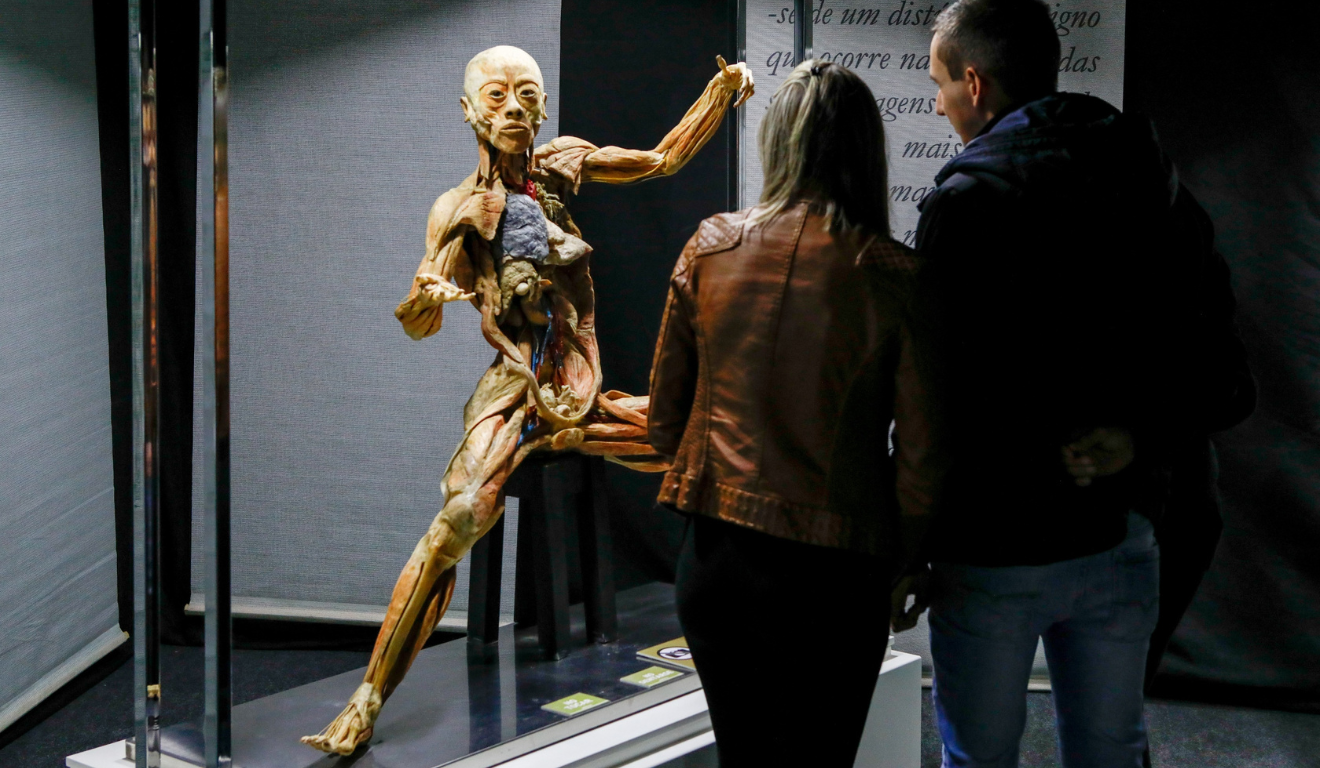 Corpo humano em exposição no Human Bodies – Maravilhas do Corpo Humano