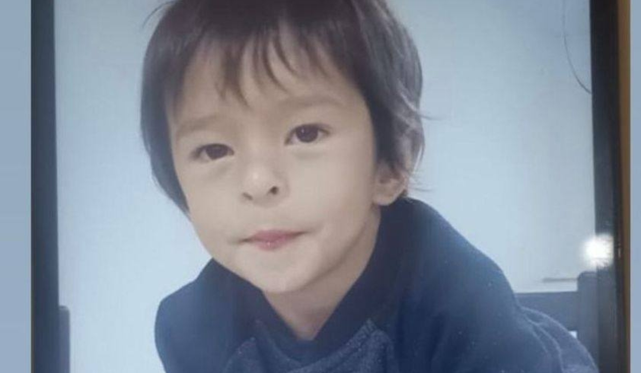 Menino de cerca de 3 anos, cabelo escuro e liso, olha para a câmera com expressão tranquila.

