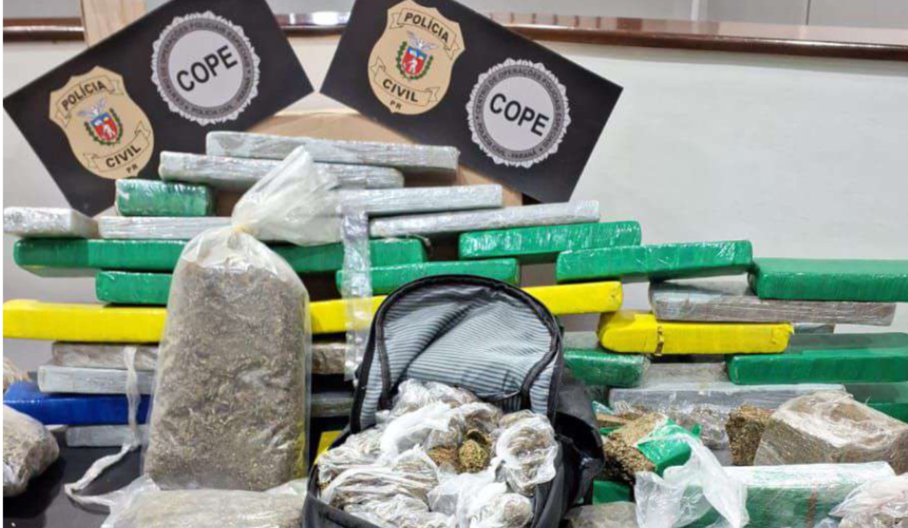 iamgens de flores de maconha apreendidas em Curitiba