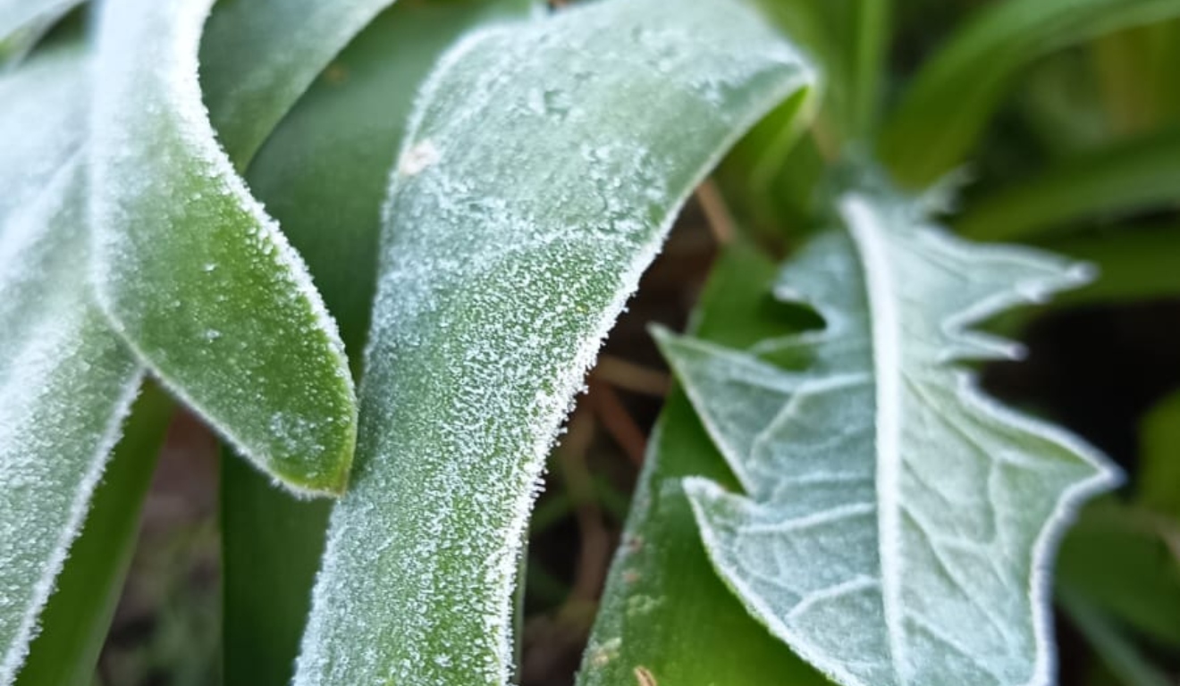 Frio intenso retornou e deve seguir nos próximos dias 