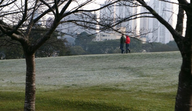 geada em gramado de parque de Curitiba