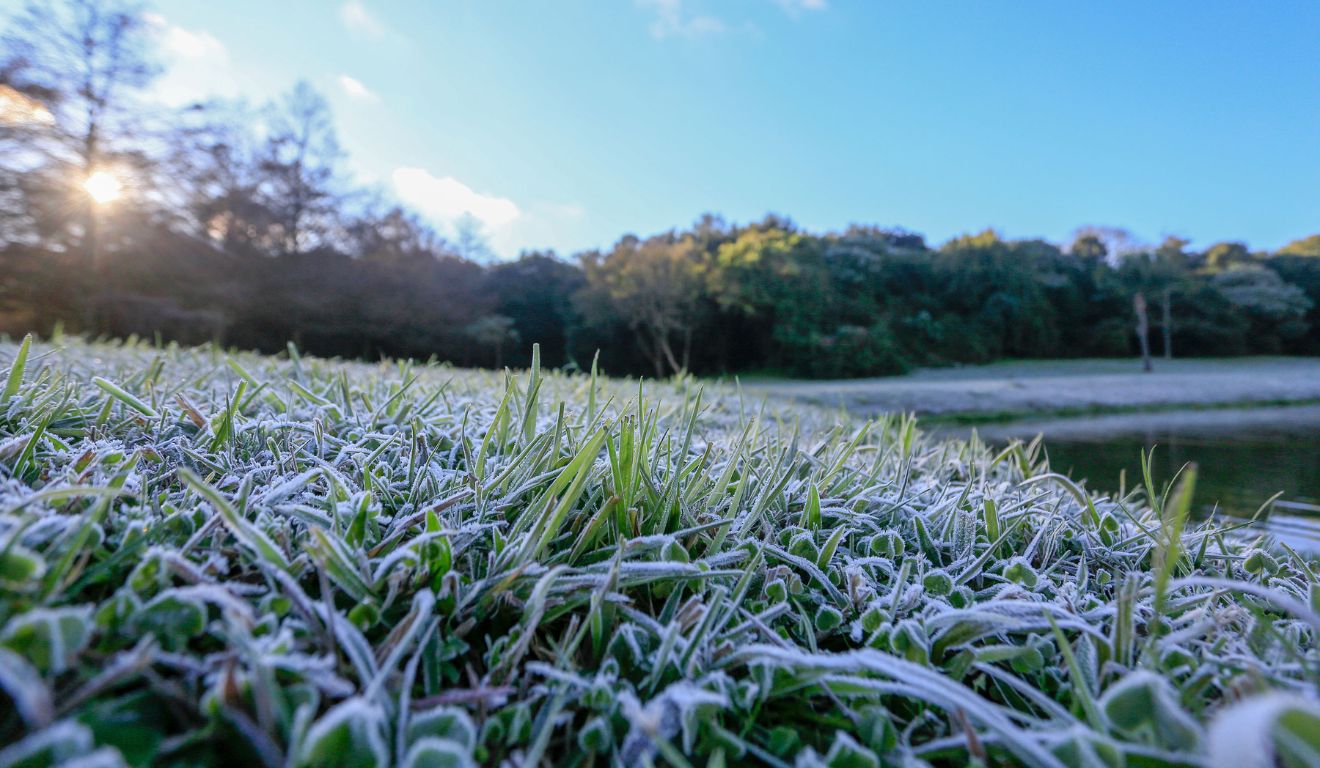geada no paraná para ilustrar nova previsão de frente fria