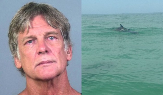 Montagem com duas fotos na primeira o suspeito de jogar a mulher no mar e na segund aum tubarão no mar