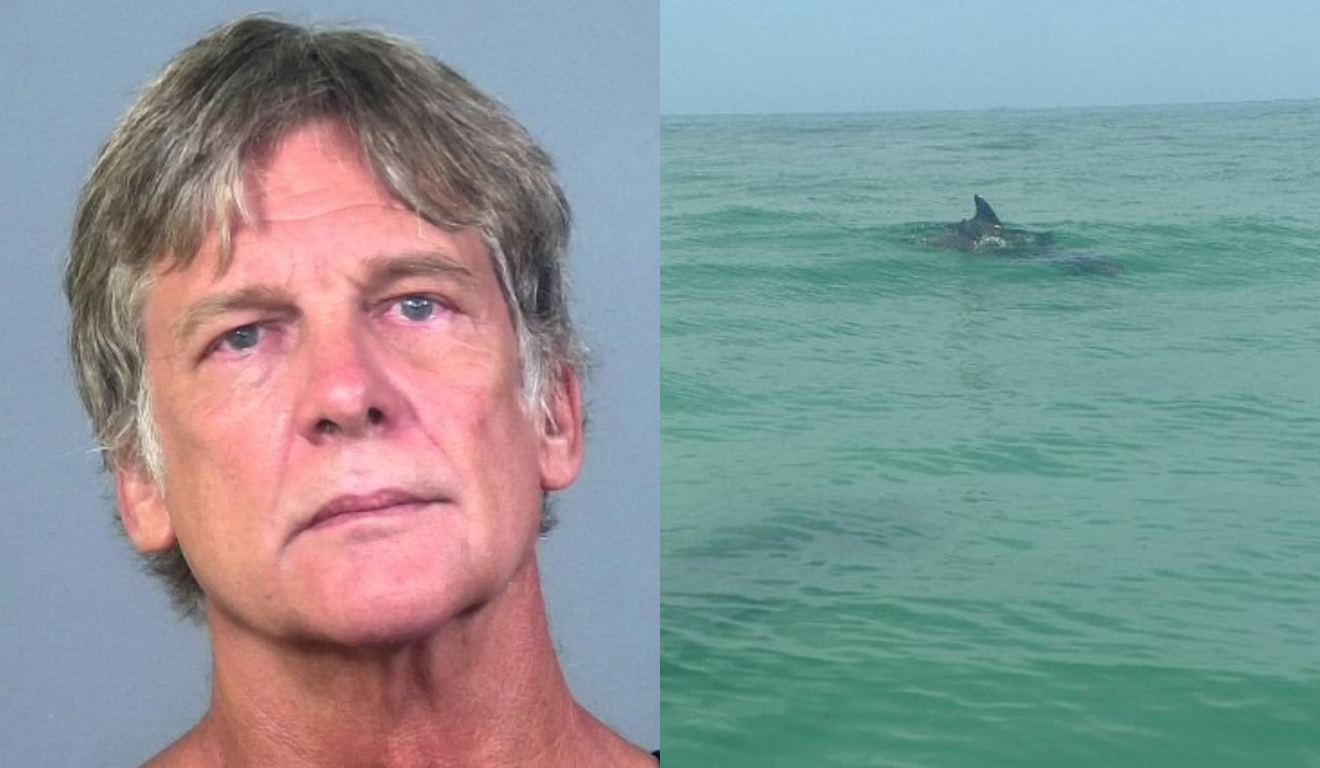 Montagem com duas fotos na primeira o suspeito de jogar a mulher no mar e na segund aum tubarão no mar