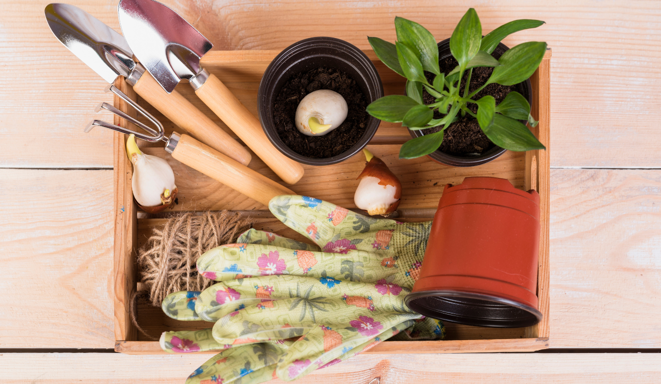 Imagem ilustrativa de itens de plantar, como tesouras e luvas.