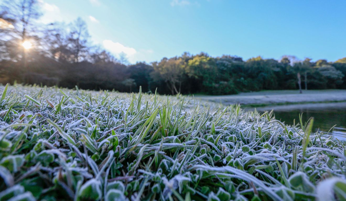 foto de geada no paraná para ilustrar chance de neve