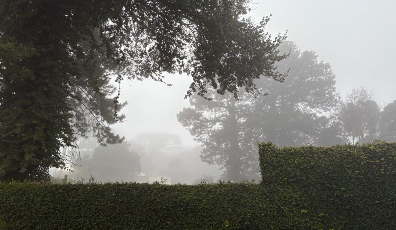 nevoeiro em curitiba