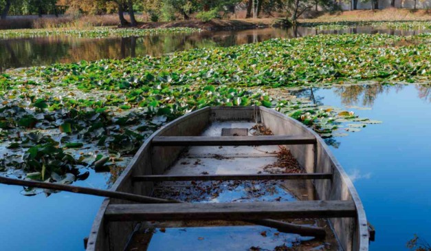 barco de madeira em lago