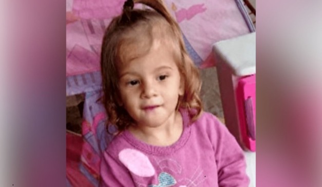 Bebê que pit bull matou