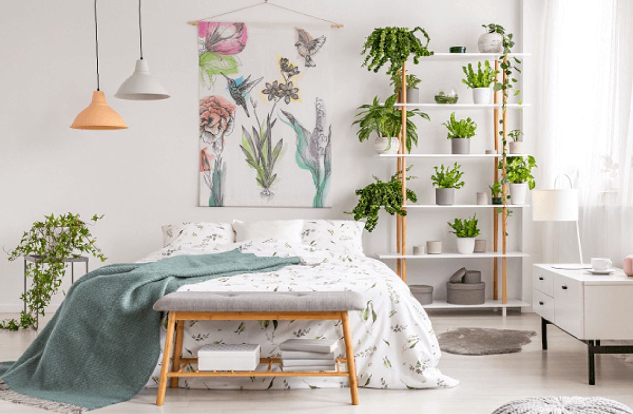 A babosa é também utilizada como decoração por especialistas em ambientes