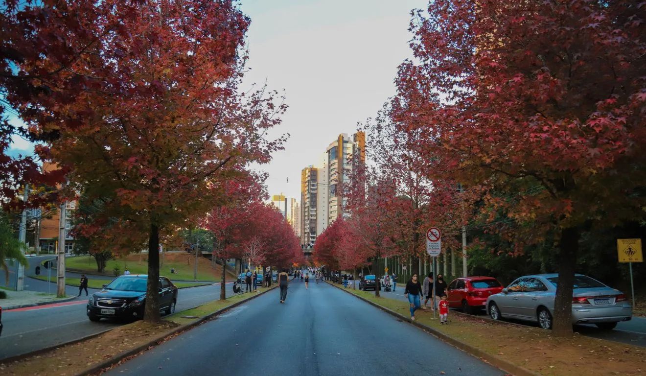 foto de curitiba para ilustrar a previsão do tempo