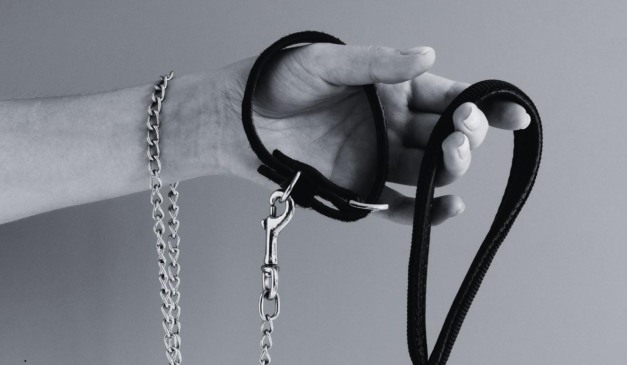 mão segurando coleira de cachorro