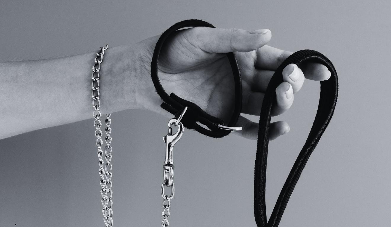 mão segurando coleira de cachorro