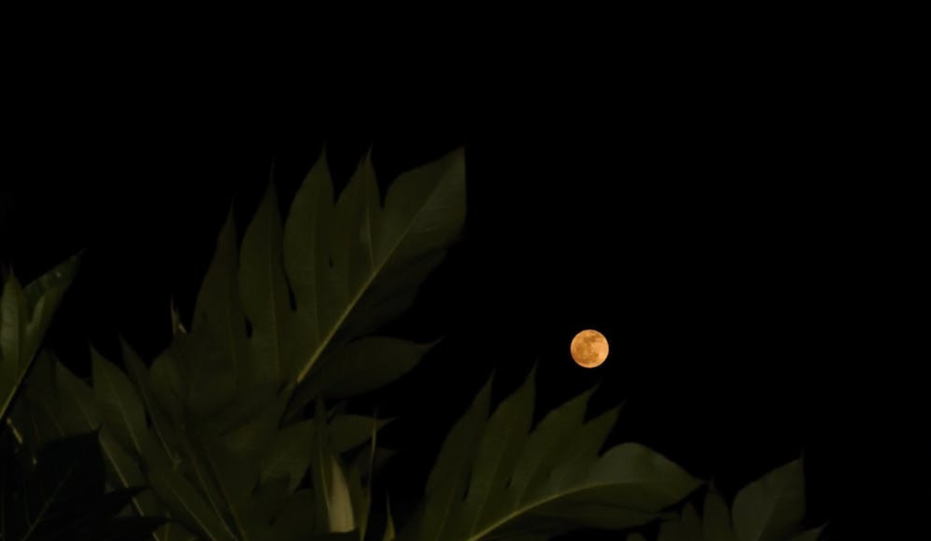 Imagem ilustrativa da lua.